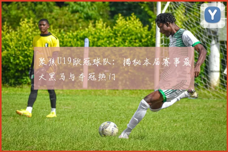 聚焦U19欧冠球队：揭秘本届赛事最大黑马与夺冠热门