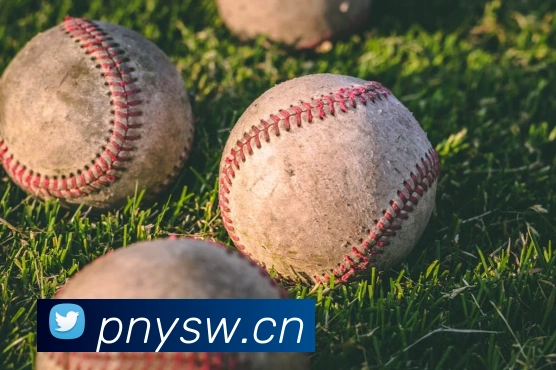 人人体育在线免费直播服务体系